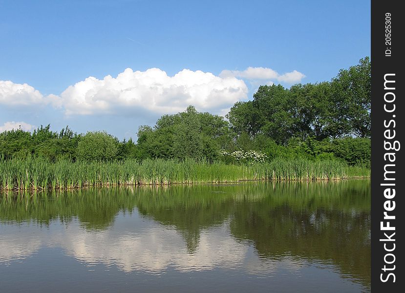 Piece of nature reflected in the water. Piece of nature reflected in the water