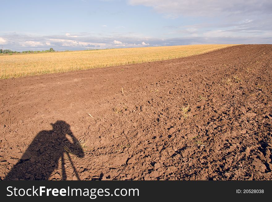 Photographers shadow on  tillage