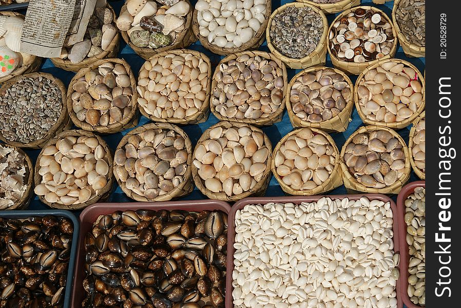 Ornaments From Sea Shells