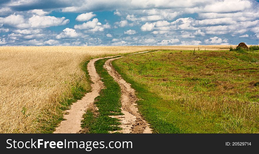 Fine landscape rural road leaving in fields of wheat against the sky