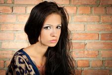 Brunet Girl On The Brickwall Background Royalty Free Stock Image Brunet Girl On The Brickwall Background Royalty Free Stock Image