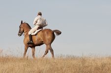 Rider In The Field Stock Image