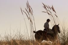 Rider With His Horse Into The Sunset Royalty Free Stock Image Rider With His Horse Into The Sunset Royalty Free Stock Image