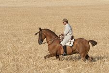 Rider In The Field Of Barley Stock Photos Rider In The Field Of Barley Stock Photos