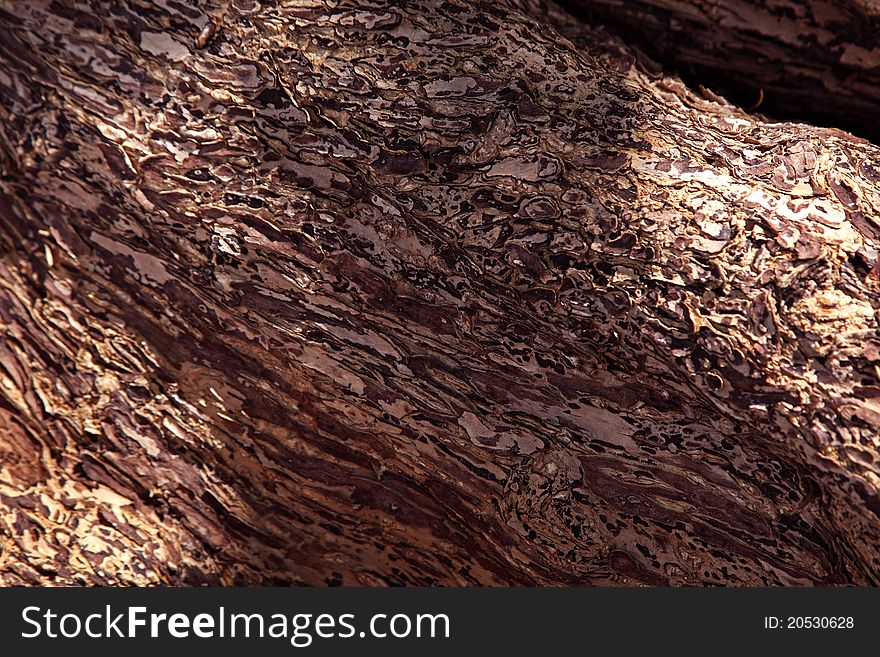 The nature wood skin for background