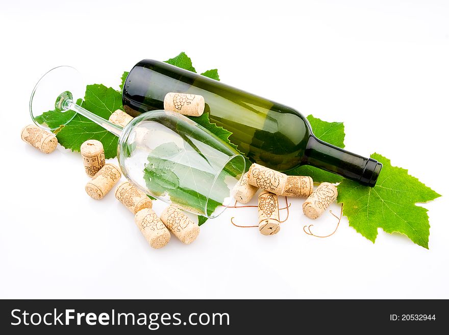 Bottle of wine on the vine. Bottle of wine on the vine