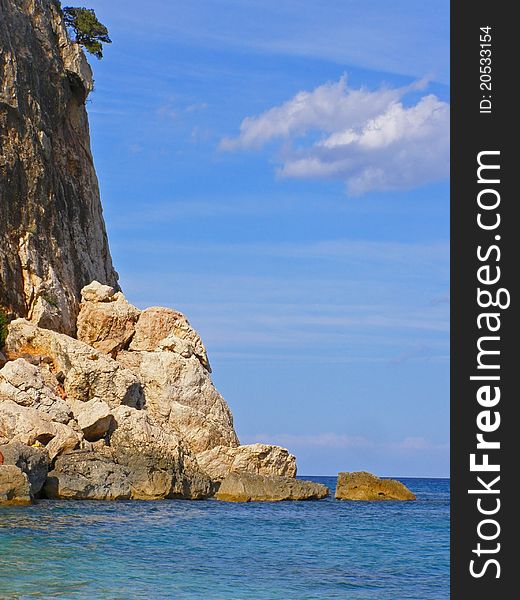 Steep sea cliff with a lonely Mediterranean pine tree on the ledge and eroded boulders underneath in the sea waters