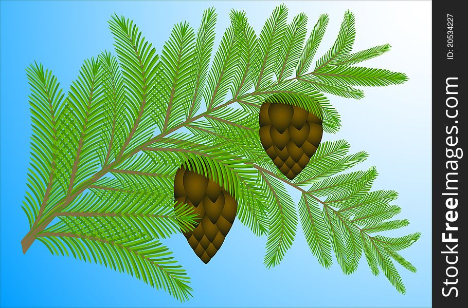 Branch of fur-trees with two cones on a blue background. Branch of fur-trees with two cones on a blue background.