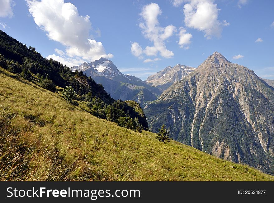 Summer in Ecrins national park, France.