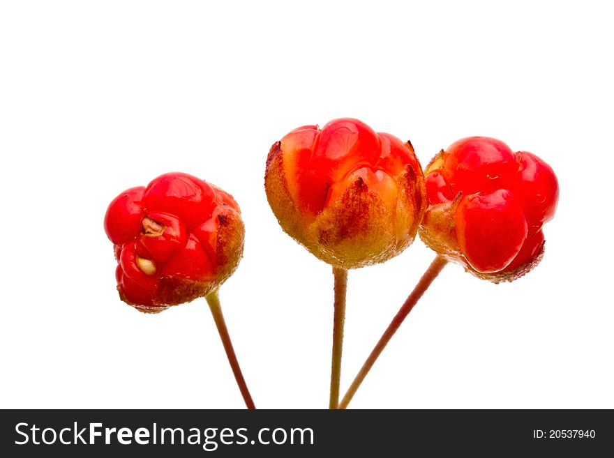 Fresh Cloudberries isolated on white background