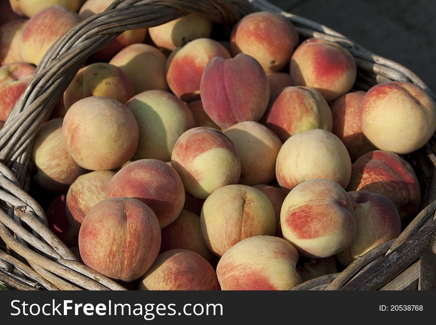 Biological Basket Of Peaches