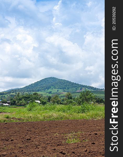 Ploughed field