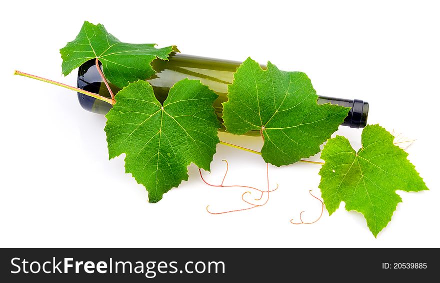 Wine and Grape Leaves
