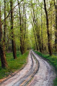 Road To Wood Royalty Free Stock Photos Road To Wood Royalty Free Stock Photos