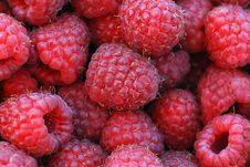 Raspberries Stock Photos Raspberries Stock Photos