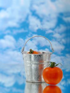 Tomato In Silver Bucket Stock Images