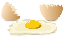 Egg Stock Image
