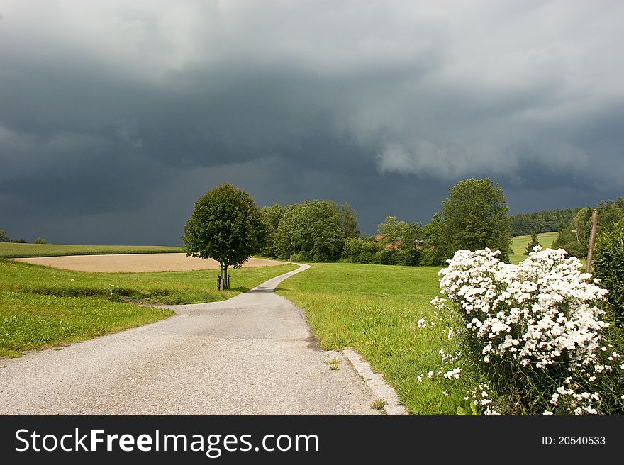 A landscape with a little road, a tree and meadows in Bavaria before a thunderstorm. A landscape with a little road, a tree and meadows in Bavaria before a thunderstorm