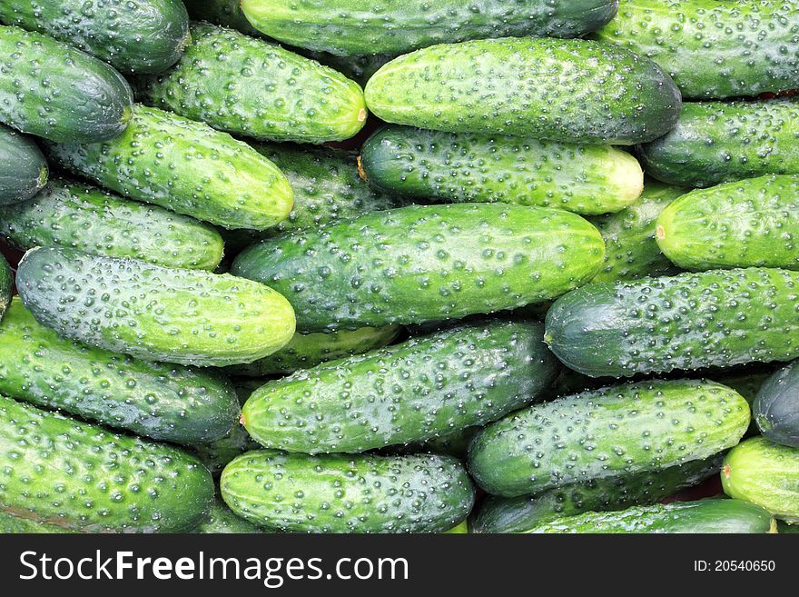 Some fresh cucumbers close up for background. Some fresh cucumbers close up for background