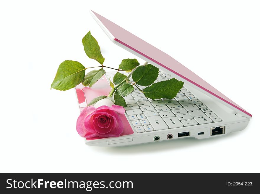 Pink netbook with a rose on the keyboard on a white background. Pink netbook with a rose on the keyboard on a white background