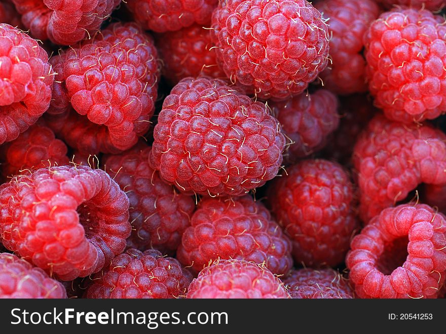 Background of ripe red raspberries