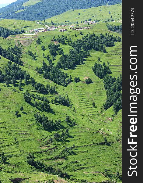 Grassland In Mountain