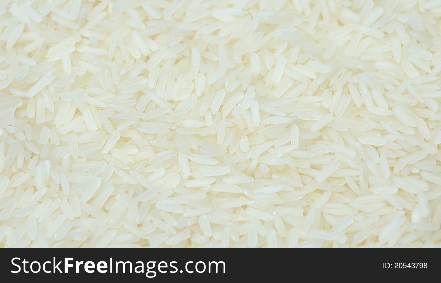 Thai jasmine rice on white background.