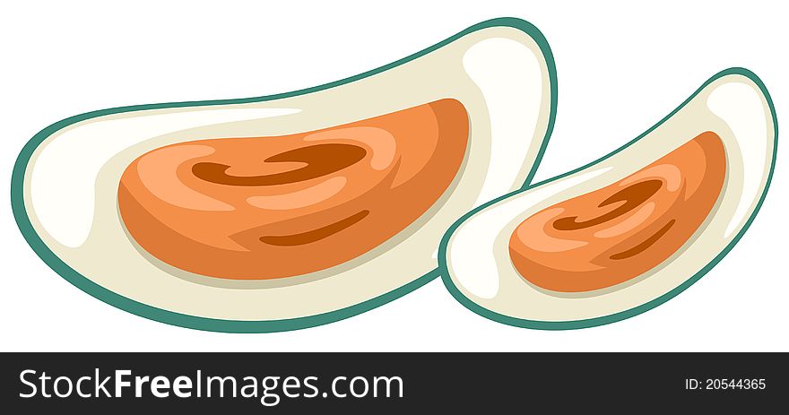 Illustration of isolated mussel on white background