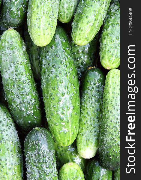 Some wet cucumbers close up for background. Some wet cucumbers close up for background