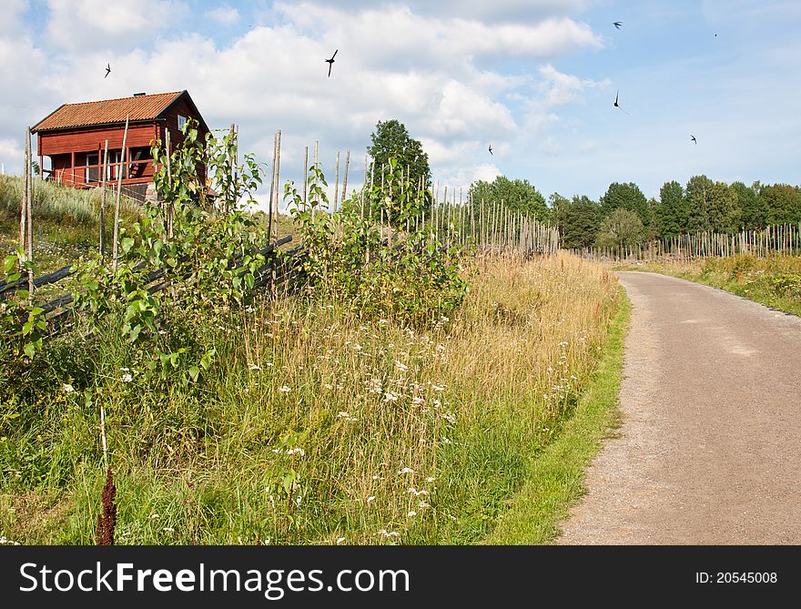 Beautiful road and an old wooden house, swallows around in the sky. Beautiful road and an old wooden house, swallows around in the sky.