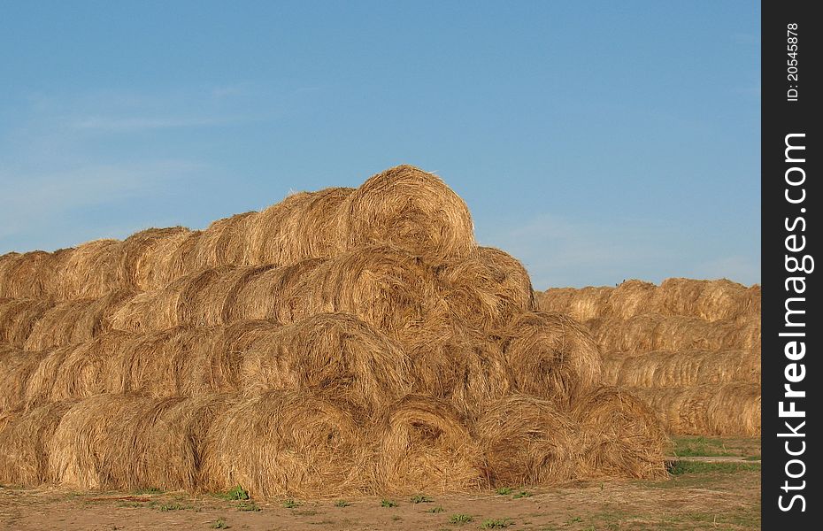 Straw, collected from the field and placed on a rustic courtyard. Straw, collected from the field and placed on a rustic courtyard