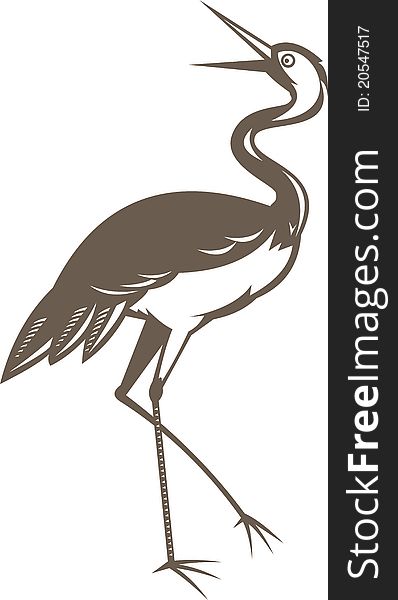 Illustration of a Crane looking up done in retro woodcut style on isolated white background. Illustration of a Crane looking up done in retro woodcut style on isolated white background