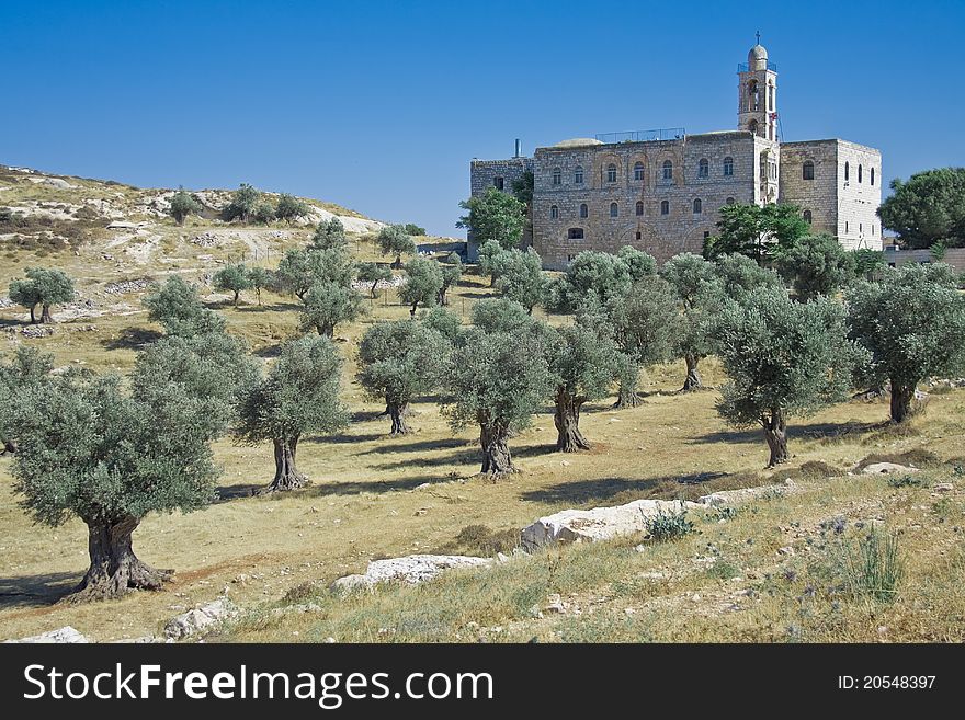 St. Elias monastery of Jerusalem in typical biblical landscape with olive trees. St. Elias monastery of Jerusalem in typical biblical landscape with olive trees