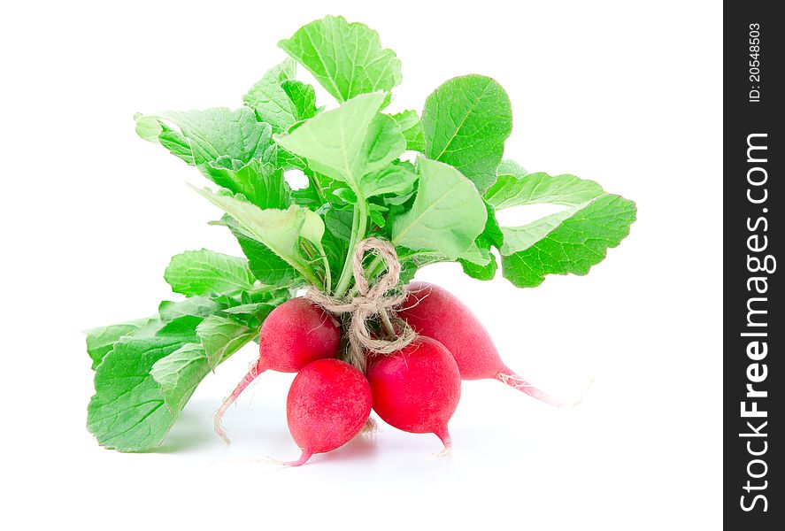 Bunch of fresh radish with leaves, on white background