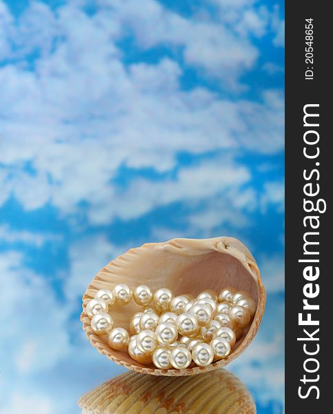 Elegant pearls in shell with sky and reflection very shallow depth of field