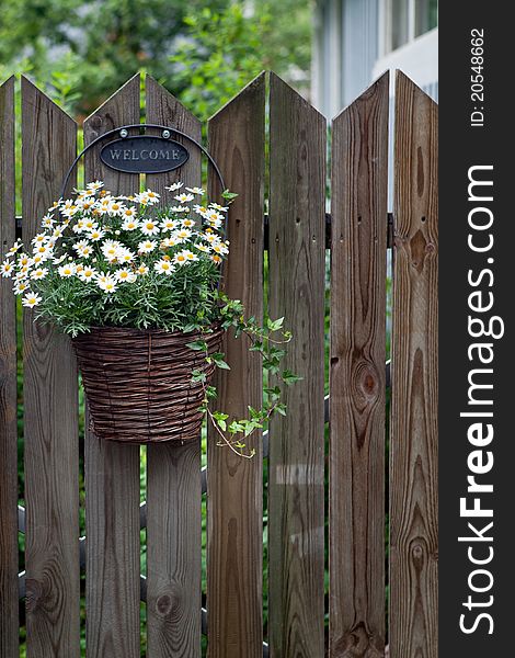 Basket with flowers on the fence. Basket with flowers on the fence.