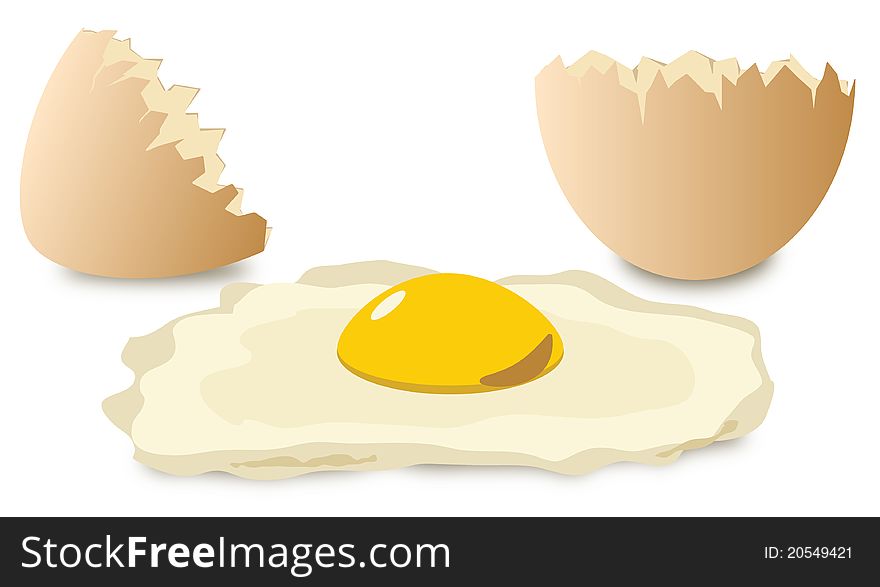 Broken Egg on white illustration
