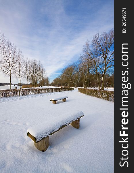 Benches in the snow