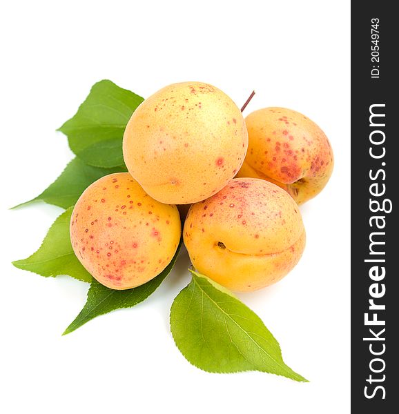 Apricots with green leaves on a white background