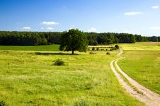 Road Leaving In The Field Royalty Free Stock Images Road Leaving In The Field Royalty Free Stock Images