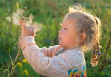 Girl With A Large Dandelion Royalty Free Stock Image