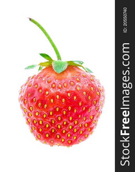 Photo of one red ripe strawberry (on a white background)