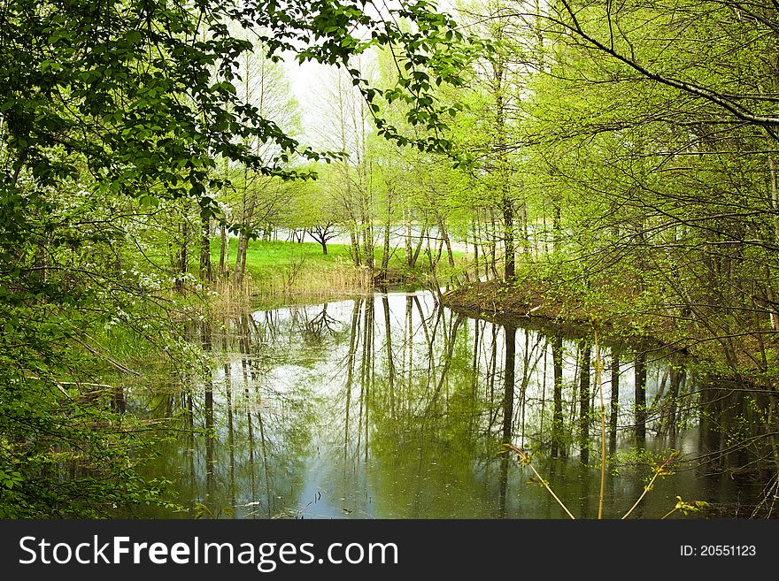 Trees growing at a bog which is about small lake (Belarus, village Poreche). Trees growing at a bog which is about small lake (Belarus, village Poreche)