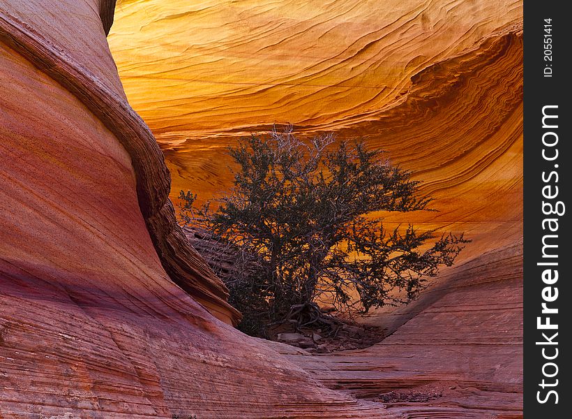 Abstract patterns carved into the walls of Antelope Canyon. Abstract patterns carved into the walls of Antelope Canyon