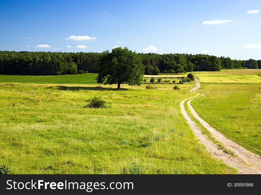 Road leaving in the field