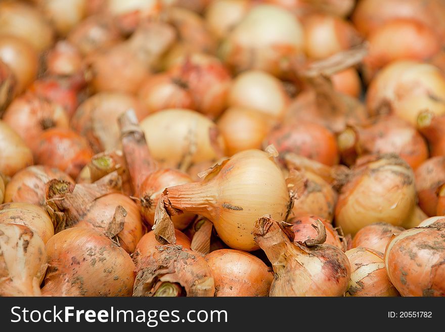 A pile of bulb onions