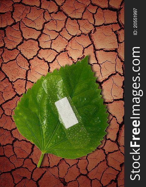 Eco ecology or nature protection concept with leaf and bandage on dry soil arid areas background