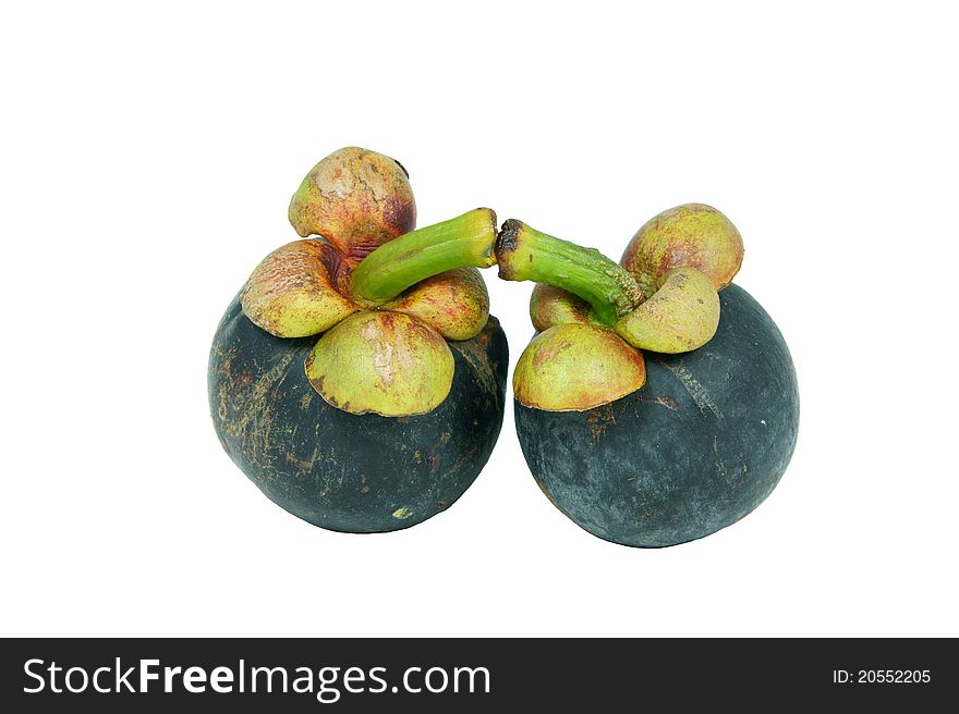 Tropical fruit mangosteen