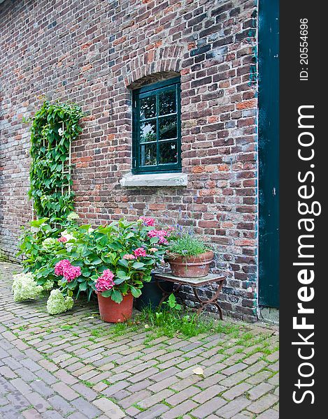 Brick sidewall of an old Dutch farmhouse with colorful flowering plants on the cobblestones