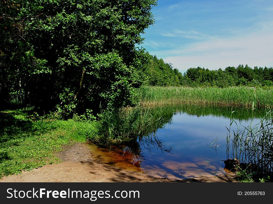 Lake in forest in one summer day